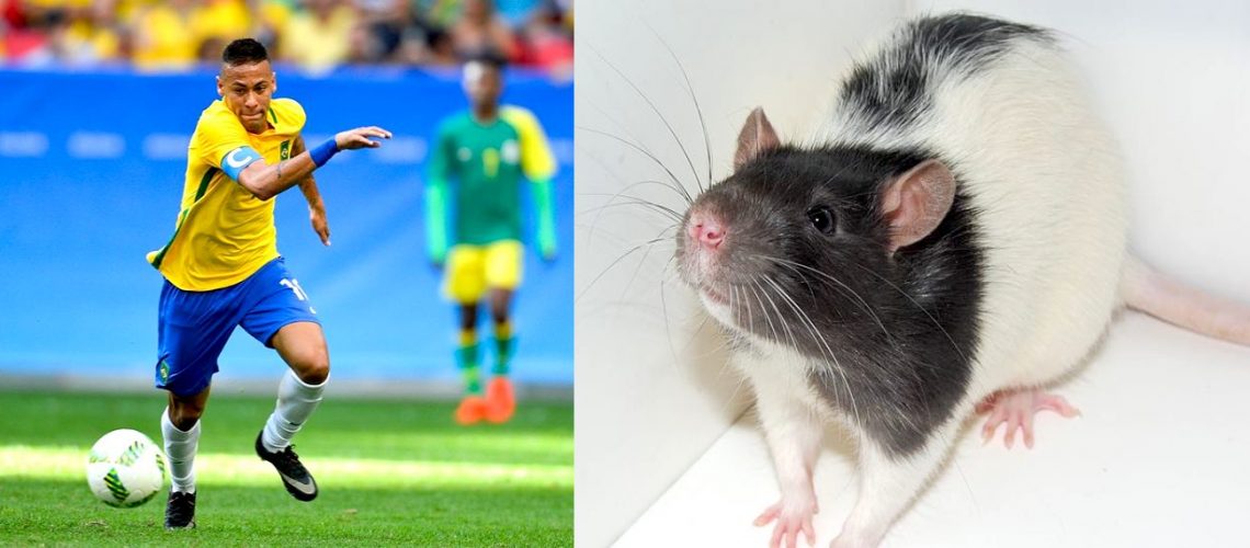 Neymar-ja-rotta-2